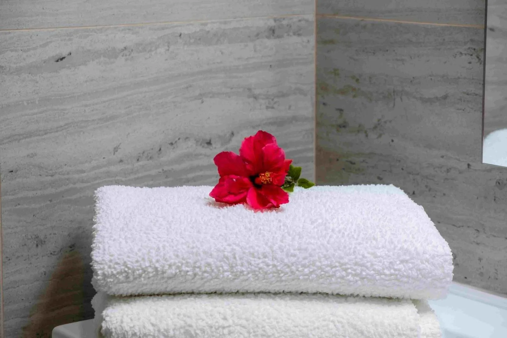 Guestready - Hillside Oceanview Heaven Villa Funchal  Funchal (Madeira)